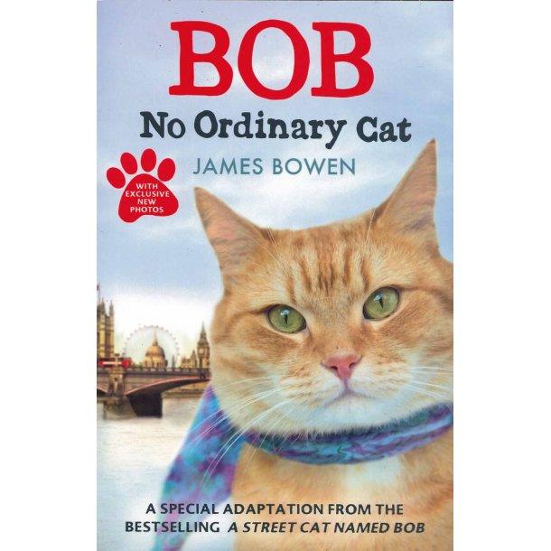 Bob No Ordinary Cat