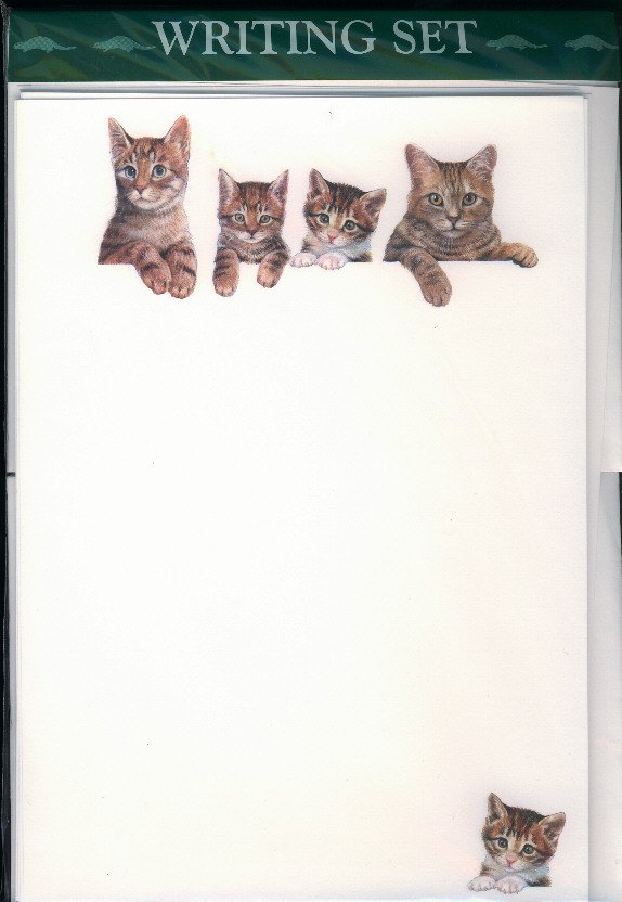 Kort kattemotiv - Køb og kort med katte Hurtig levering