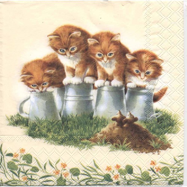 Four Kittens lunchserviet