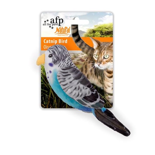 AFP Fugl med catnip. (bl)