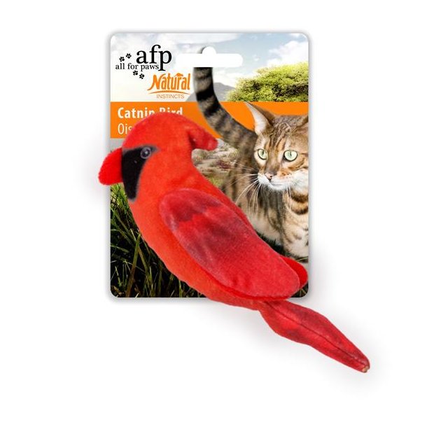 AFP Fugl med catnip. (rd)