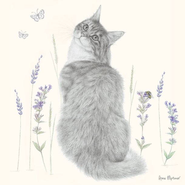 Kort - Kat og Blomster