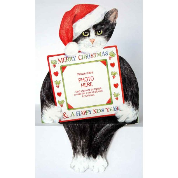 Selvsiddende katte-julekort (Variant 2) - Julekat shop-weidinger (CatShop)